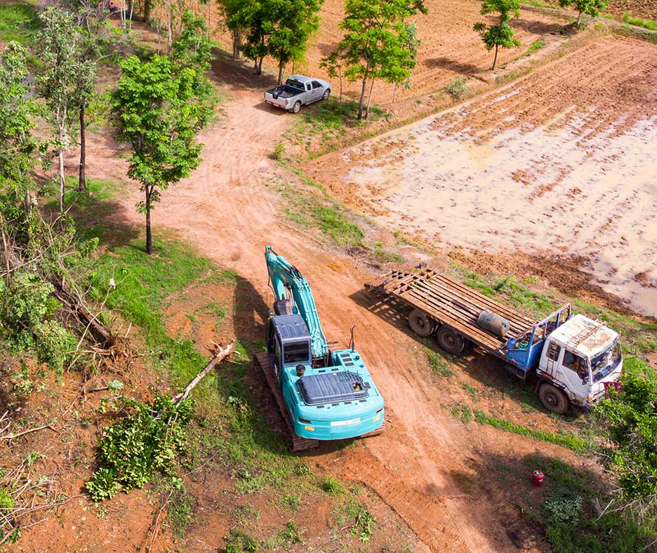 work trucks in forest